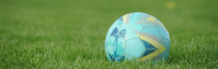 soccer ball in the grass