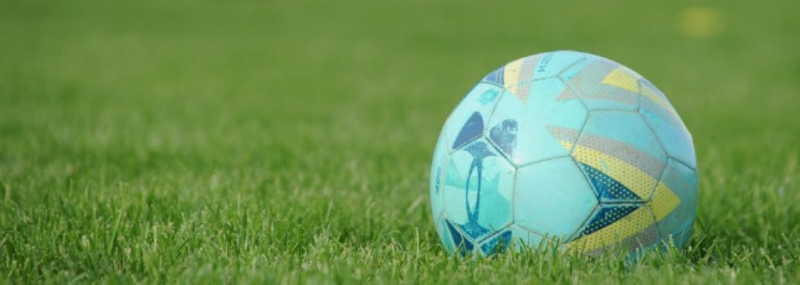 soccer ball in the grass